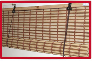 Plants: image 1 0f 4 thumb